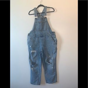 WILD FABLE OVERALLS WOMEN'S SIZE LARGE